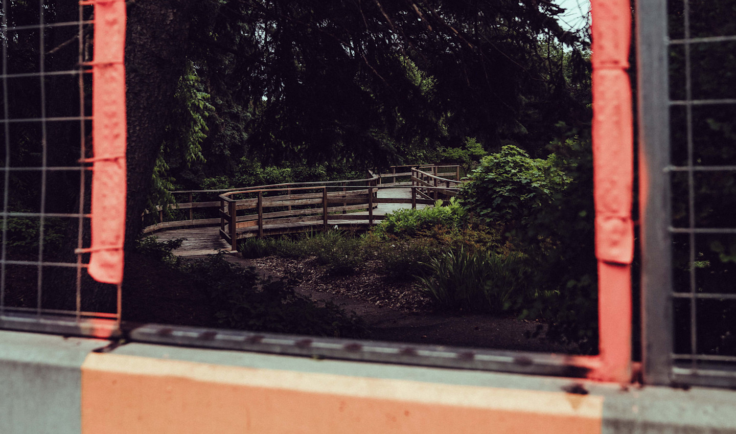 Canada 2025 race page header 2