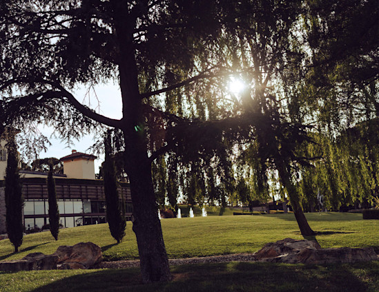 Imola race page race