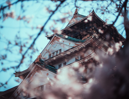 Japan preview Regent thumbnail