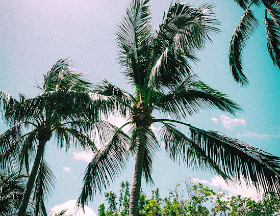 Miami GP race page - facts carousel