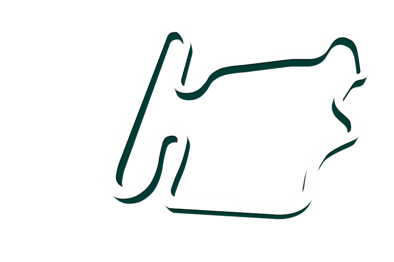 2023 Hungarian Grand Prix track map