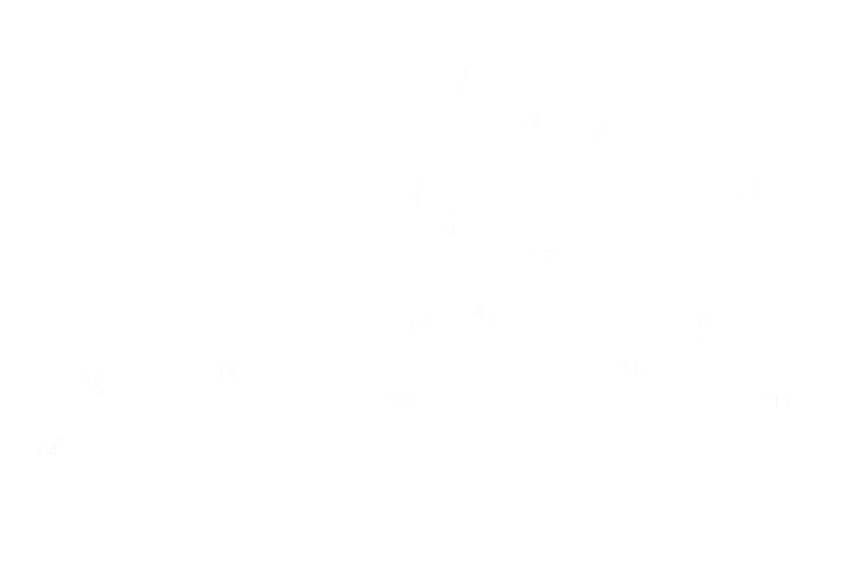 2024 Shanghai Track Map (Turns)